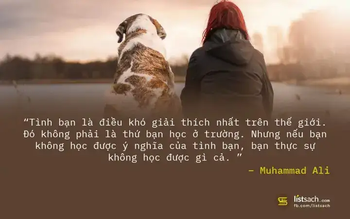 những câu nói hay về người và chó