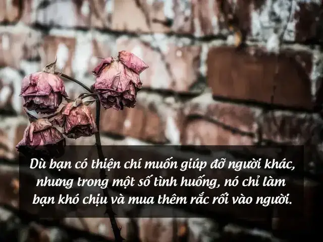 những câu nói hay về làm ơn mắc oán