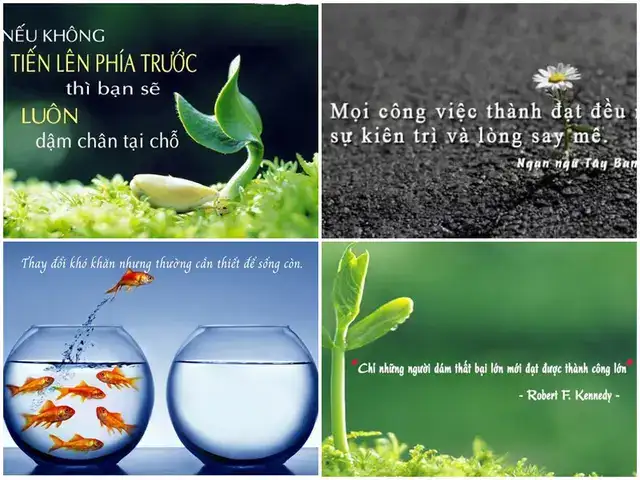 những câu nói cực chất về cuộc sống