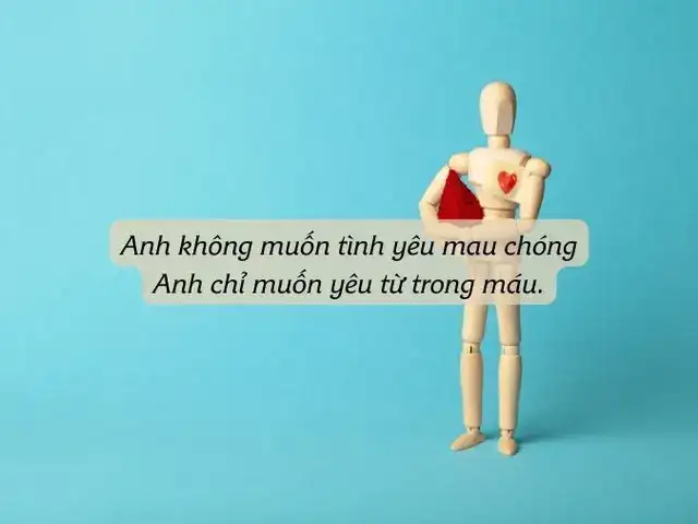 những câu nói hay về hiến máu nhân đạo những câu nói hay về hiến máu nhân đạo