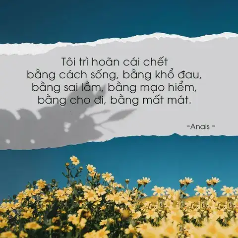 những câu nói hay về trải nghiệm cuộc sống những câu nói hay về trải nghiệm cuộc sống