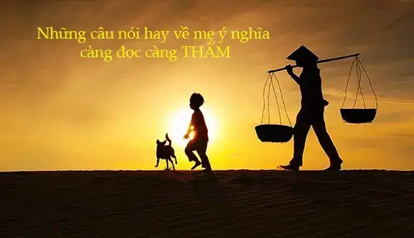 những câu nói hay về con ong những câu nói hay về con ong