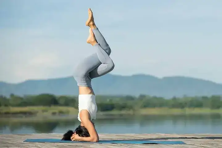 những câu nói hay về chuối