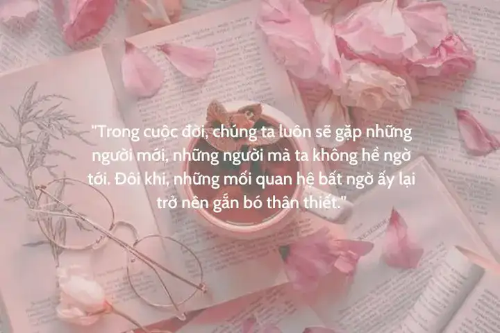 những câu nói hay về chuyện buồn gia đình những câu nói hay về chuyện buồn gia đình