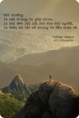 những câu nói hay về bảo vệ động vật những câu nói hay về bảo vệ động vật