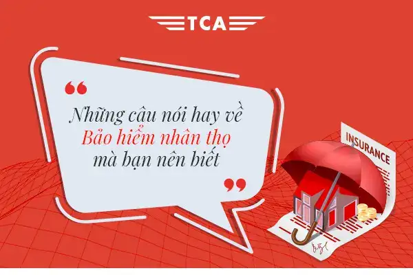 những câu nói hay về bảo bình những câu nói hay về bảo bình