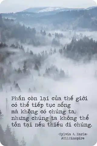 những câu nói hay về biến đổi khí hậu những câu nói hay về biến đổi khí hậu