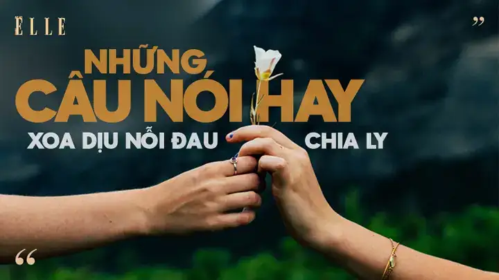 những câu nói xoa dịu trái tim những câu nói xoa dịu trái tim