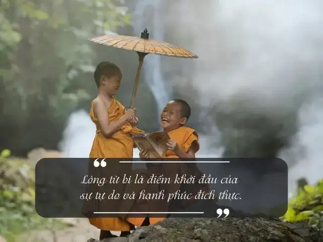 những câu nói về lòng tự ái những câu nói về lòng tự ái