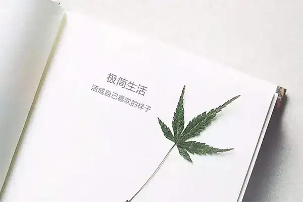 những câu nói hay trên zalo