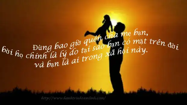 những câu nói hay cha dành cho con trai những câu nói hay cha dành cho con trai