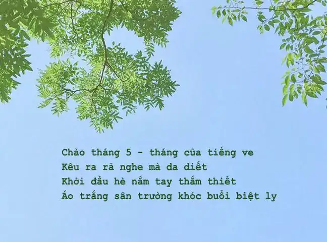 câu nói hay về tháng 5