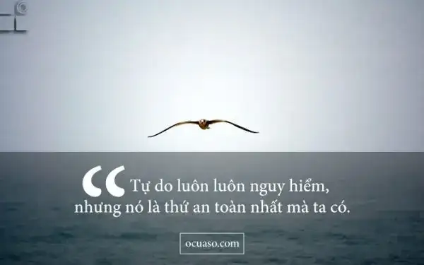 câu nói hay về sự tự do