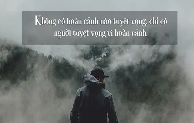câu nói hay về sự thật