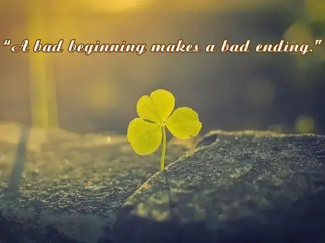 câu nói về sự may mắn câu nói về sự may mắn