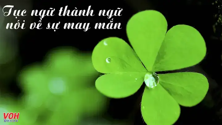 câu nói về sự may mắn câu nói về sự may mắn