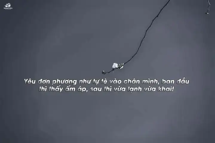 những câu nói hài hước về tình yêu đơn phương những câu nói hài hước về tình yêu đơn phương