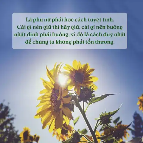 câu nói hay về sự chấp nhận câu nói hay về sự chấp nhận