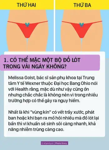 những câu nói hay về đồ lót những câu nói hay về đồ lót