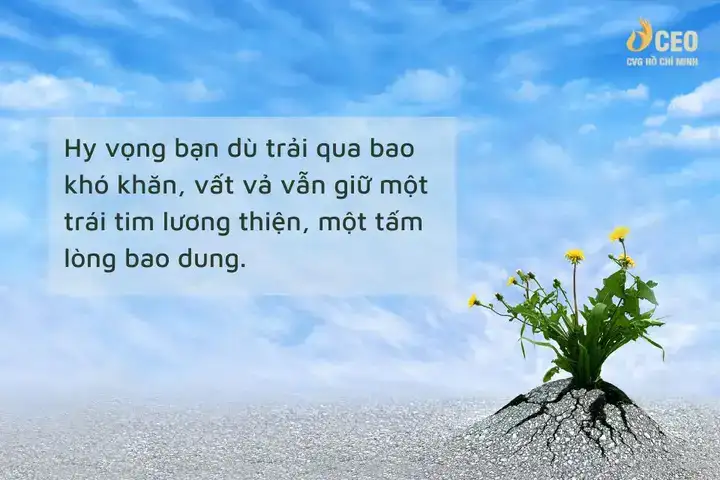 câu nói hay về sóng gió cuộc đời câu nói hay về sóng gió cuộc đời