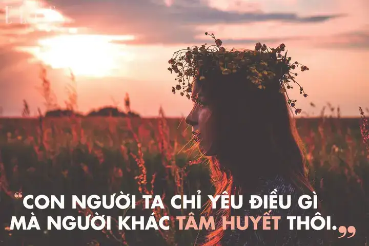 những câu nói hay trong lalaland những câu nói hay trong lalaland