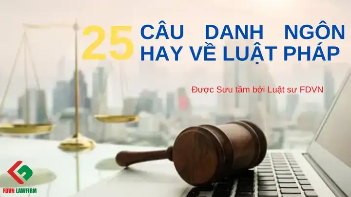 câu nói hay về pháp luật