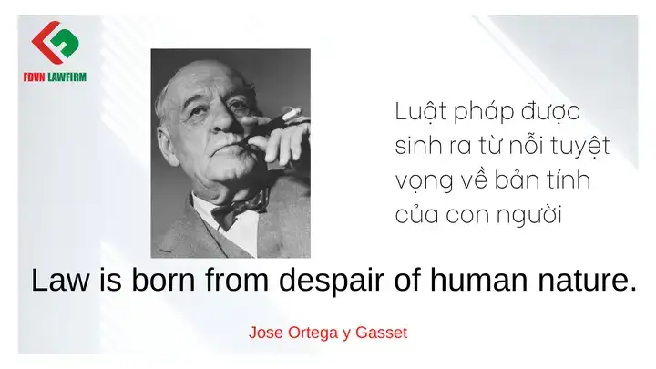 câu nói hay về pháp luật