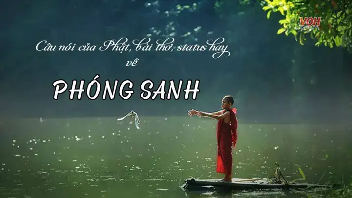 câu nói hay về phóng sanh câu nói hay về phóng sanh