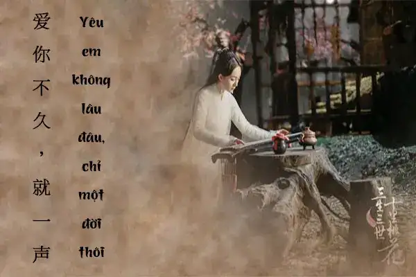 những câu nói hay ngôn tình trung quốc những câu nói hay ngôn tình trung quốc