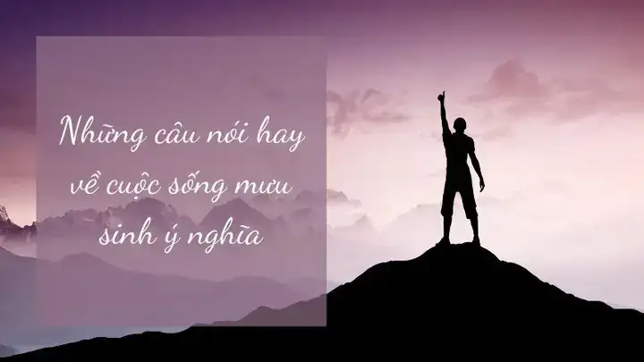 những câu nói hay về cuộc sống vất vả những câu nói hay về cuộc sống vất vả