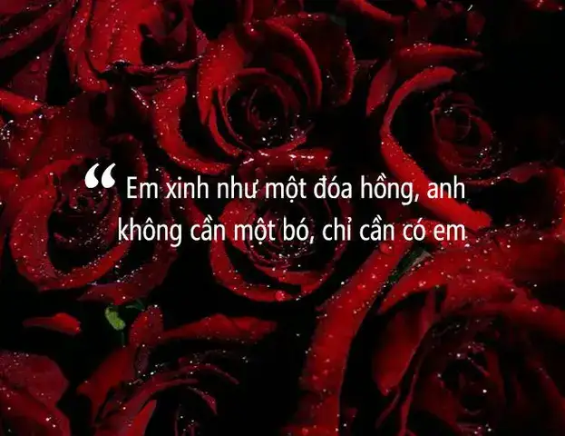 câu nói hay về màu đỏ câu nói hay về màu đỏ