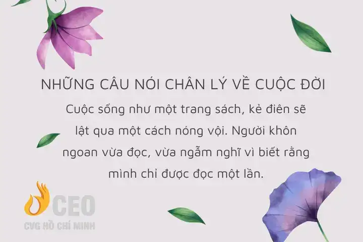 câu nói hay về chân lý sống câu nói hay về chân lý sống