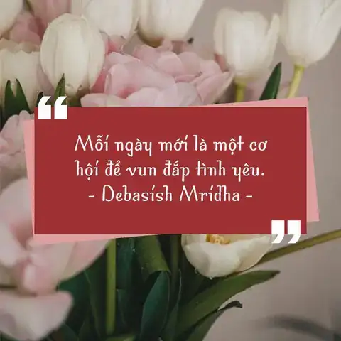 câu nói hay về cơ hội tình yêu câu nói hay về cơ hội tình yêu