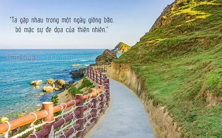 câu nói hay về cảnh đẹp câu nói hay về cảnh đẹp