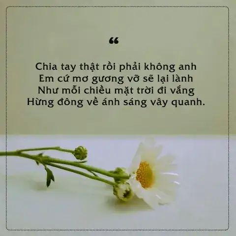 những câu nói hay khi chia tay anh em