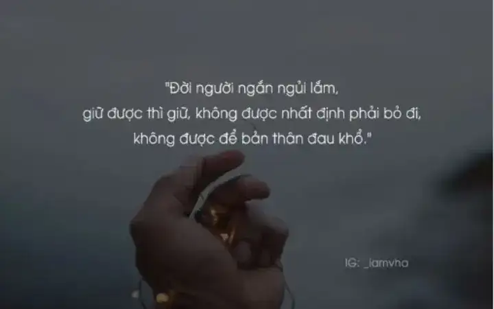 những câu nói dạy đời hay nhất những câu nói dạy đời hay nhất