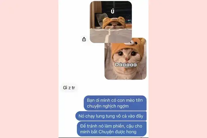 những câu nói hay gửi crush