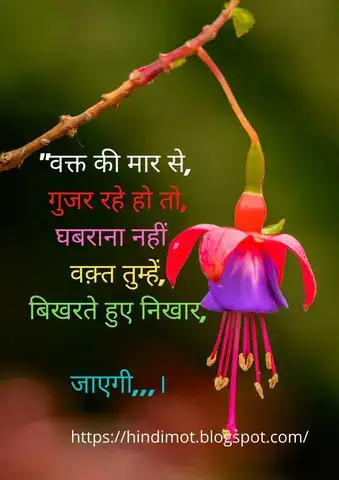 những câu nói chạm đến trái tim con gái