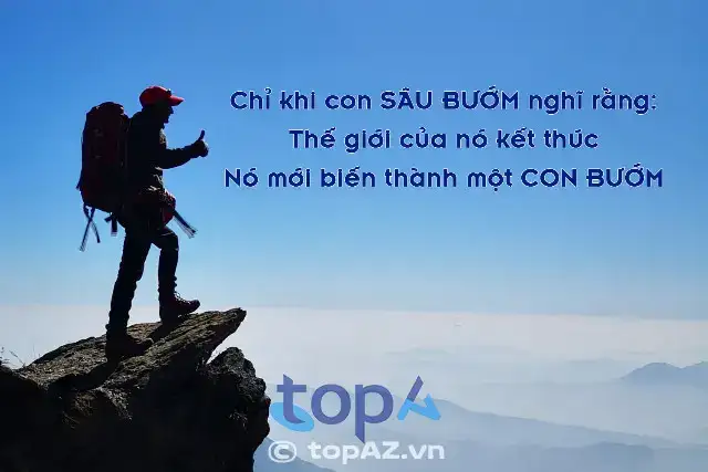 câu nói hay trong truyện