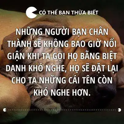 câu nói buồn về tình bạn câu nói buồn về tình bạn