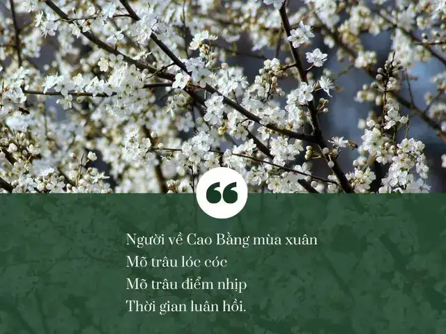 câu nói hay về cao bằng câu nói hay về cao bằng