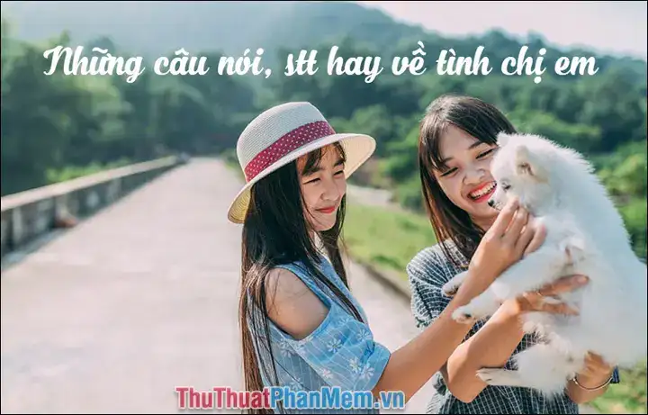 thôi về đi em nói chi câu nói biệt ly thôi về đi em nói chi câu nói biệt ly