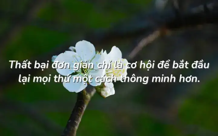 những câu nói hay bất hủ của người nổi tiếng