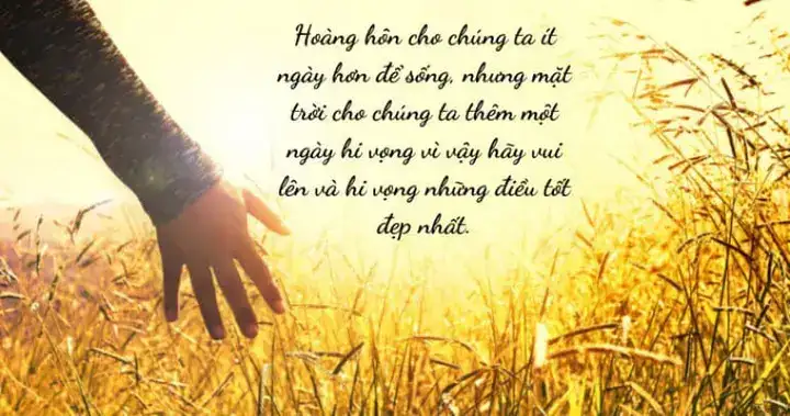 những câu nói vực dậy tinh thần sau chia tay những câu nói vực dậy tinh thần sau chia tay