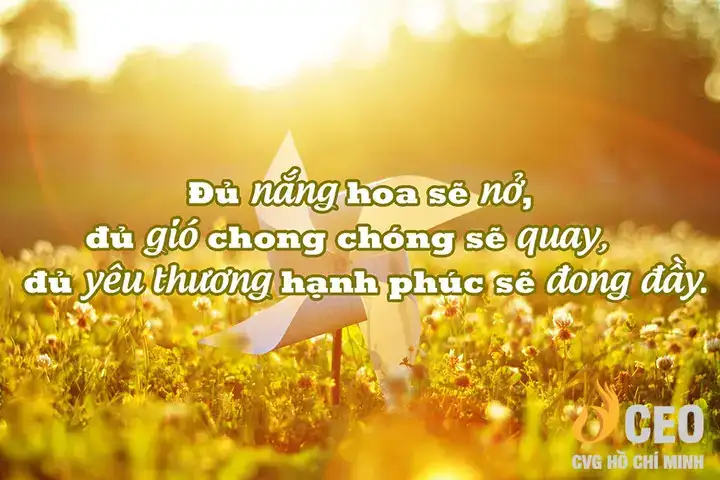 những câu nói hay về cho đi và nhận lại