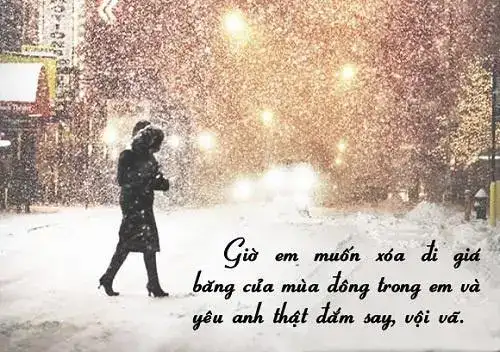 những câu nói về tuyết rơi
