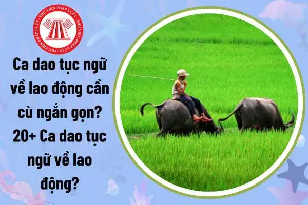 câu nói hay về lao động câu nói hay về lao động