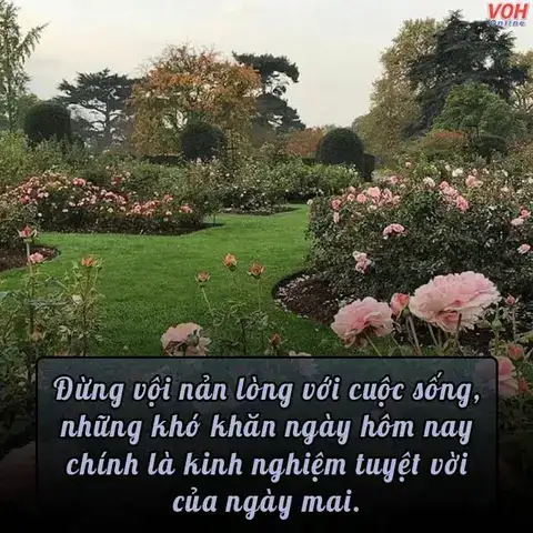 câu nói hay về hy vọng