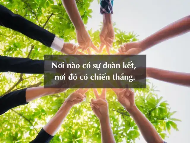 câu nói hay về đội nhóm câu nói hay về đội nhóm