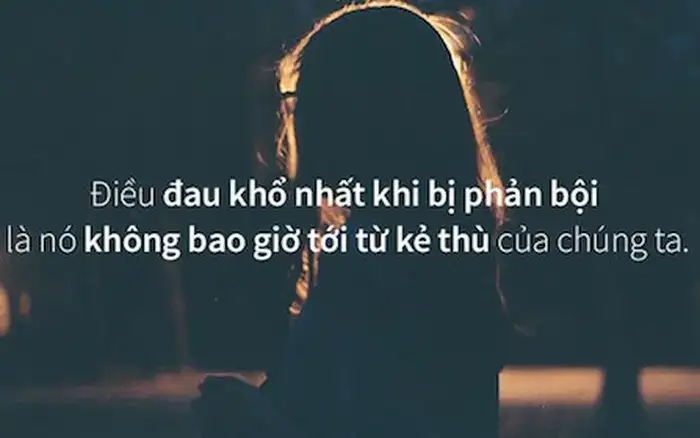 những câu nói trải lòng